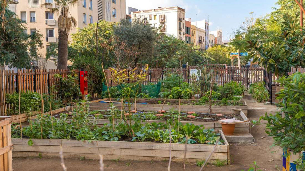 Build Green or Sustainable? — Whitelaw Rigging & Fabrication